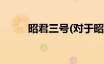 昭君三号(对于昭君三号简单介绍)