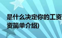 是什么决定你的工资(对于是什么决定你的工资简单介绍)