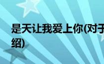 是天让我爱上你(对于是天让我爱上你简单介绍)