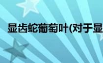 显齿蛇葡萄叶(对于显齿蛇葡萄叶简单介绍)