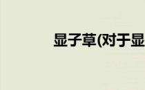 显子草(对于显子草简单介绍)