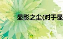 显影之尘(对于显影之尘简单介绍)