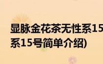 显脉金花茶无性系15号(对于显脉金花茶无性系15号简单介绍)