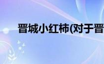 晋城小红柿(对于晋城小红柿简单介绍)