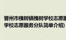 晋州市槐树镇槐树学校志愿服务分队(对于晋州市槐树镇槐树学校志愿服务分队简单介绍)