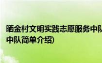 晒金村文明实践志愿服务中队(对于晒金村文明实践志愿服务中队简单介绍)