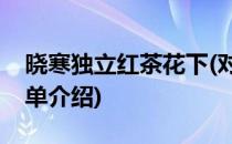 晓寒独立红茶花下(对于晓寒独立红茶花下简单介绍)