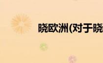 晓欧洲(对于晓欧洲简单介绍)