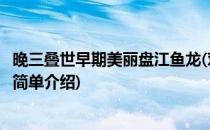 晚三叠世早期美丽盘江鱼龙(对于晚三叠世早期美丽盘江鱼龙简单介绍)