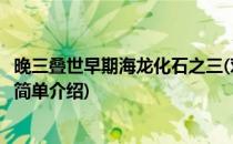 晚三叠世早期海龙化石之三(对于晚三叠世早期海龙化石之三简单介绍)