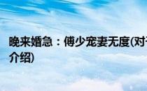 晚来婚急：傅少宠妻无度(对于晚来婚急：傅少宠妻无度简单介绍)