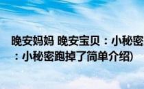 晚安妈妈 晚安宝贝：小秘密跑掉了(对于晚安妈妈 晚安宝贝：小秘密跑掉了简单介绍)
