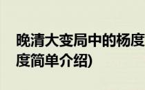 晚清大变局中的杨度(对于晚清大变局中的杨度简单介绍)