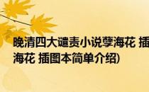 晚清四大谴责小说孽海花 插图本(对于晚清四大谴责小说孽海花 插图本简单介绍)