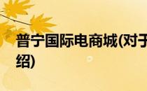普宁国际电商城(对于普宁国际电商城简单介绍)