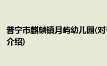 普宁市麒麟镇月屿幼儿园(对于普宁市麒麟镇月屿幼儿园简单介绍)