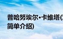 普哈努埃尔·卡维塔(对于普哈努埃尔·卡维塔简单介绍)