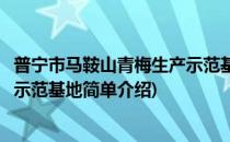 普宁市马鞍山青梅生产示范基地(对于普宁市马鞍山青梅生产示范基地简单介绍)