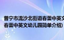 普宁市流沙北街道春蕾中英文幼儿园(对于普宁市流沙北街道春蕾中英文幼儿园简单介绍)