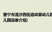 普宁市流沙西街道幼苗幼儿园(对于普宁市流沙西街道幼苗幼儿园简单介绍)