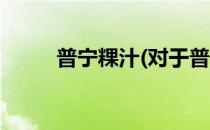 普宁粿汁(对于普宁粿汁简单介绍)