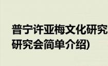 普宁许亚梅文化研究会(对于普宁许亚梅文化研究会简单介绍)