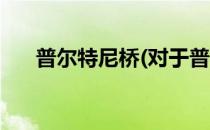 普尔特尼桥(对于普尔特尼桥简单介绍)