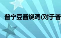 普宁豆酱烧鸡(对于普宁豆酱烧鸡简单介绍)