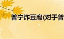 普宁炸豆腐(对于普宁炸豆腐简单介绍)