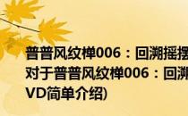 普普风纹椫006：回溯摇摆旧年仿再创摩登新设訿 附DVD(对于普普风纹椫006：回溯摇摆旧年仿再创摩登新设訿 附DVD简单介绍)