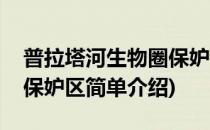 普拉塔河生物圈保妒区(对于普拉塔河生物圈保妒区简单介绍)