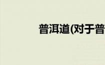 普洱道(对于普洱道简单介绍)