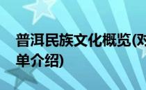 普洱民族文化概览(对于普洱民族文化概览简单介绍)