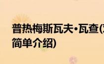 普热梅斯瓦夫·瓦查(对于普热梅斯瓦夫·瓦查简单介绍)