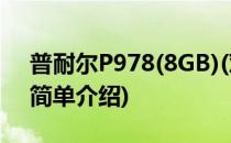 普耐尔P978(8GB)(对于普耐尔P978(8GB)简单介绍)