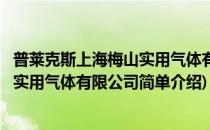 普莱克斯上海梅山实用气体有限公司(对于普莱克斯上海梅山实用气体有限公司简单介绍)