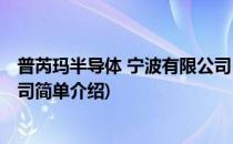 普芮玛半导体 宁波有限公司(对于普芮玛半导体 宁波有限公司简单介绍)