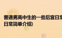 普通男高中生的一些后宫日常(对于普通男高中生的一些后宫日常简单介绍)