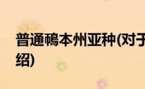普通鳾本州亚种(对于普通鳾本州亚种简单介绍)