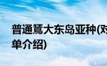 普通鵟大东岛亚种(对于普通鵟大东岛亚种简单介绍)