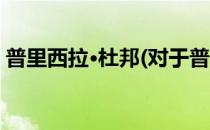 普里西拉·杜邦(对于普里西拉·杜邦简单介绍)