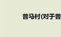 普马村(对于普马村简单介绍)