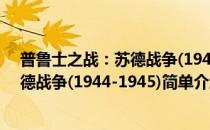 普鲁士之战：苏德战争(1944-1945)(对于普鲁士之战：苏德战争(1944-1945)简单介绍)
