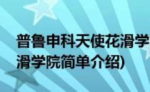 普鲁申科天使花滑学院(对于普鲁申科天使花滑学院简单介绍)