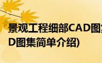 景观工程细部CAD图集(对于景观工程细部CAD图集简单介绍)