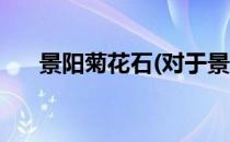 景阳菊花石(对于景阳菊花石简单介绍)