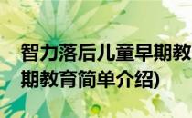 智力落后儿童早期教育(对于智力落后儿童早期教育简单介绍)