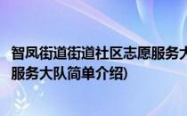 智凤街道街道社区志愿服务大队(对于智凤街道街道社区志愿服务大队简单介绍)