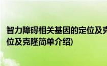 智力障碍相关基因的定位及克隆(对于智力障碍相关基因的定位及克隆简单介绍)