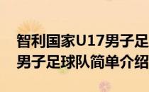智利国家U17男子足球队(对于智利国家U17男子足球队简单介绍)
